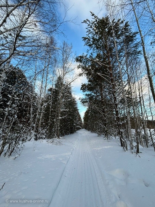 ... &copy; ���� ��������