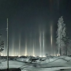 ... &copy; �������� ��������