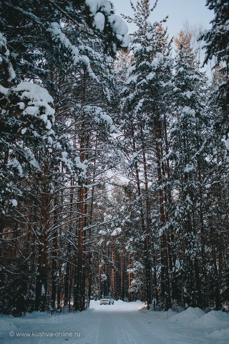 ... &copy; ��������� �����������