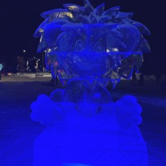 ... &copy; ���� ��������