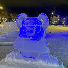 ... &copy; ���� ��������