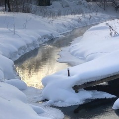 ... &copy; ���� ���������