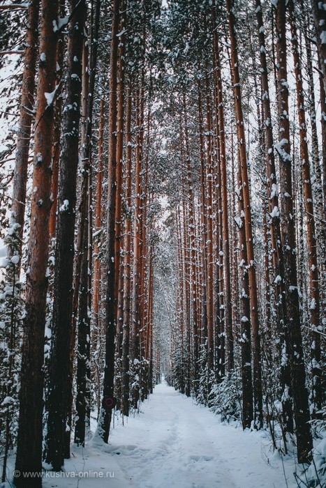 ... &copy; ��������� �����������