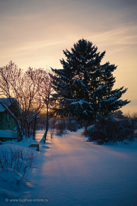 ... &copy; ��������� �����������