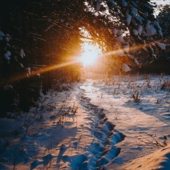 ... &copy; ��������� �����������