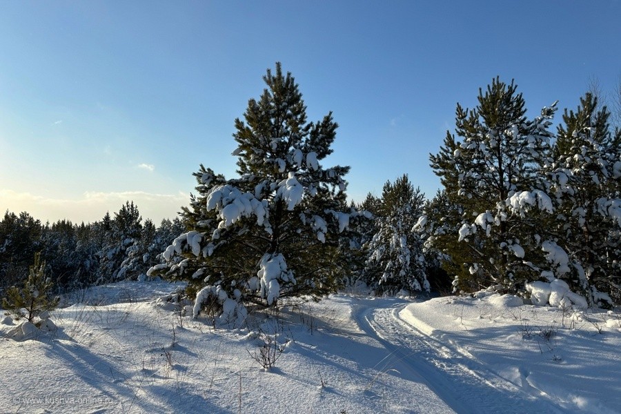 ... &copy; ���� ��������