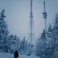 ... &copy; ��������� �����������