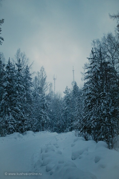 ... &copy; ��������� �����������