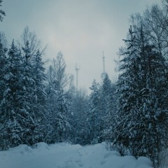 ... &copy; ��������� �����������