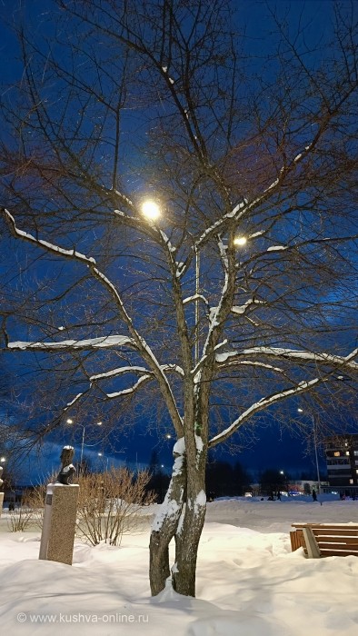 ... &copy; Alexandra_Loginova