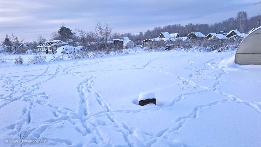 ... &copy; ������ ����������