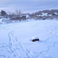 ... &copy; ������ ����������