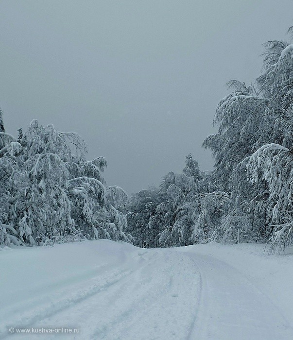 ... &copy; ���� �����������