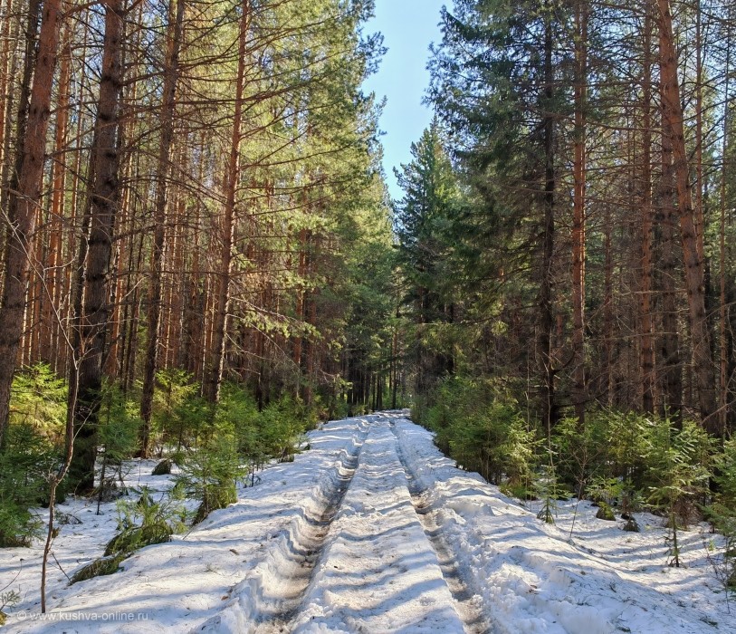 �����, ������ ������ &copy; ������ ��������