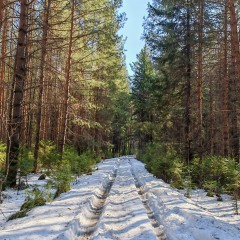 �����, ������ ������ &copy; ������ ��������