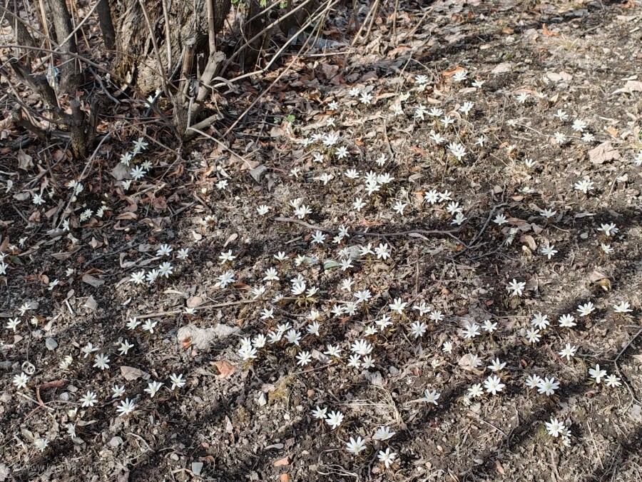 ���� ��� �� 5 ������ 2026 �. �. �����: andrei_apk