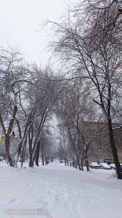 ... &copy; Alexandra_Loginova