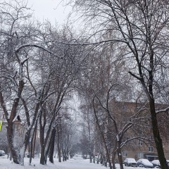 ... &copy; Alexandra_Loginova