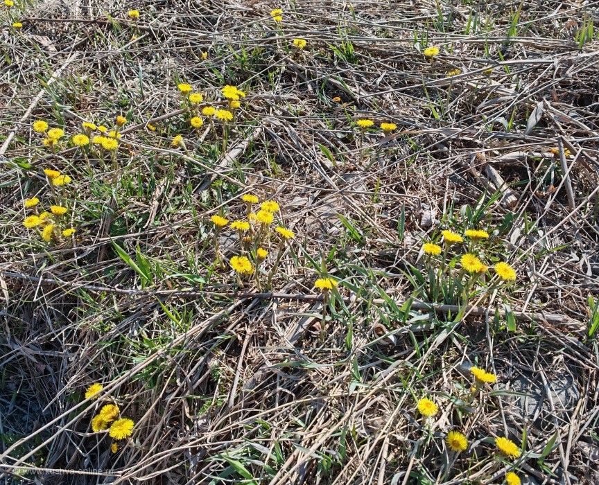 �����, ����� &copy; ������ ��������