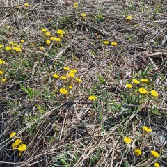 �����, ����� &copy; ������ ��������