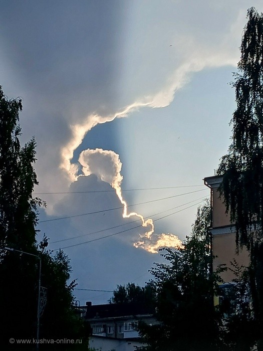 ... &copy; ����� ������