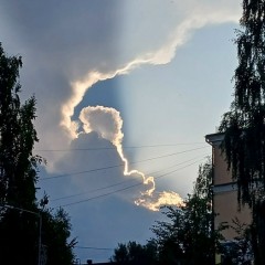 ... &copy; ����� ������